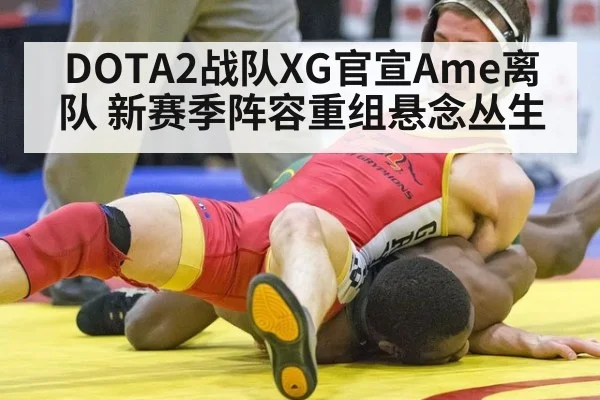 DOTA2战队XG官宣Ame离队 新赛季阵容重组悬念丛生